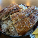 きみのやうなぎ店 - 