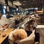 FARMER'S KITCHEN THE gram  - 