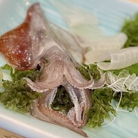 稚加榮 本店 - ウネウネとのたうち回る泥障烏賊は新鮮そのもの。グラデーションのように鮮やかに色合いが変化し、歯応えと甘味が抜群である