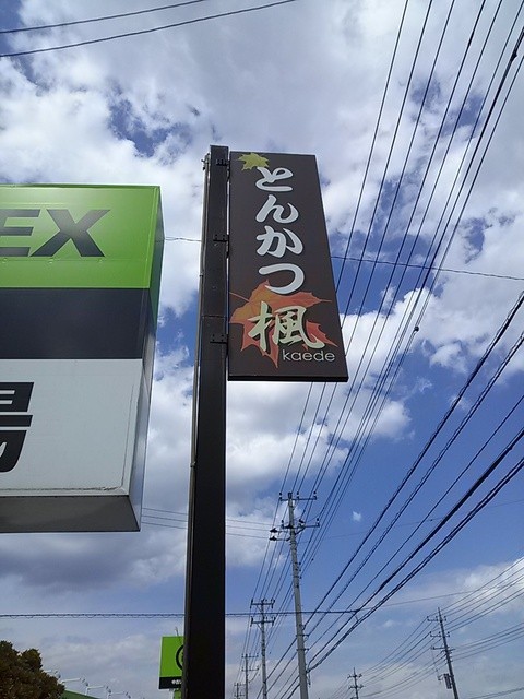 楓 新茂原 とんかつ 食べログ 楓 新茂原 とんかつ 食べログ