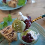 books to curry 猫のしっぽ - 