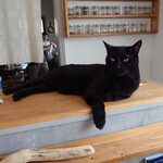 books to curry 猫のしっぽ - 