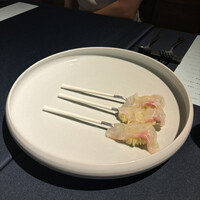 セルサルサーレ - 