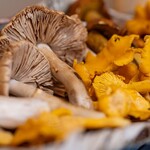 よし町 - 2024.8 若葉屋さんの夏キノコ