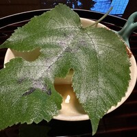 萬亀樓 - 