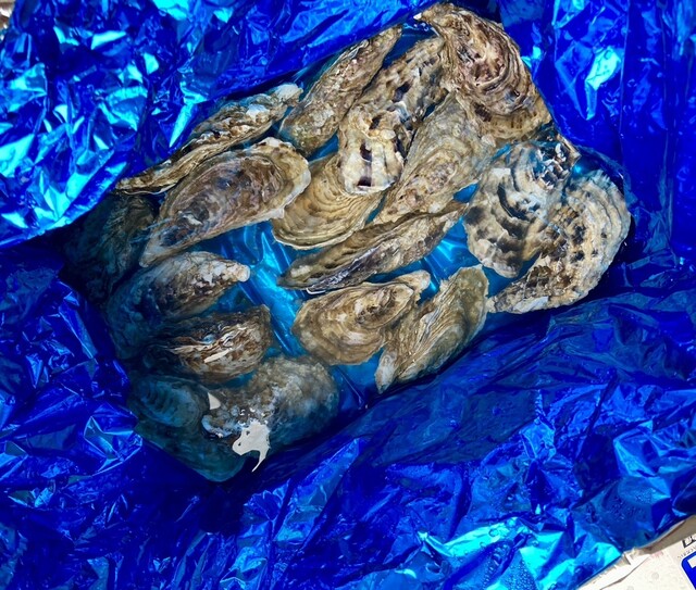 口コミ一覧 : 魚信 本店の写真