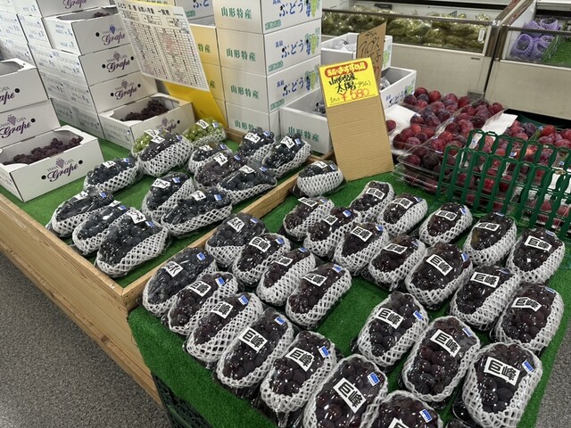 道の駅 いいで - 羽前椿（道の駅）の写真