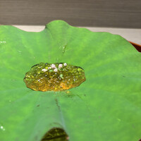 おい河 - 