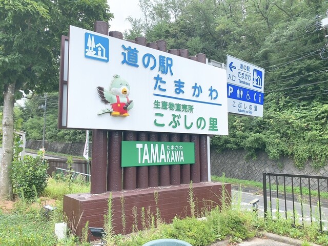 そば処 こぶしの里 - 泉郷（そば）