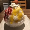 かき氷専門店 snowcrown 大阪難波店