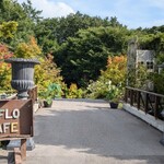 GAFLO CAFE by Flower FIELD - 