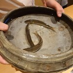 日本料理 山崎 - 鮎