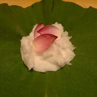 日本料理 山崎 - 富山の蓮の葉にアイスシェイブ