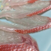 浅草 魚料理 遠州屋 - 