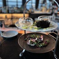 Bar&Lounge MAJESTIC -  Bar&Lounge MAJESTIC -