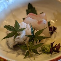 東山望 TAMANOHIKARI - 
