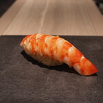 島津 - 山口　車海老