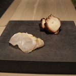 島津 - 天草　クエ、明石　タコ