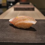 島津 - 宮城　カスゴダイ