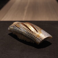 島津 - 天草　コハダ