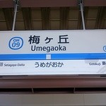 フォレスティカフェ - 小田急線の駅です