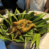 レフェルヴェソンス - 