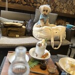 離れcafe a little bridge - ワンコokはホントありがたい