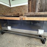 湖香六根 - すっぽん