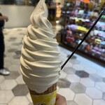 BAKE CHEESE TART Ekie Hiroshima Ten - 