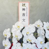 広島 鮨 まつもと - 