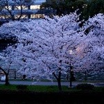 グルメ・ミュージック船 ひまわり - 実は、船内からの写真は、ほぼ全滅。。。ｗ