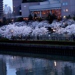 帝国ホテルの前は、大川（旧淀川）