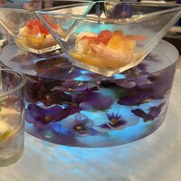 スミレオオサカ - 