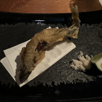 SHIKAKU - 