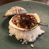 シャイニーアウル 表参道 - 