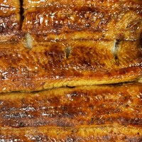 満寿家 -  満寿家 -