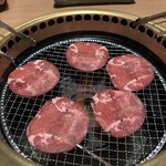 로그테이 혼텐 - 