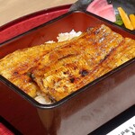 江戸前うなぎ かわ祥 - うな重 特上(一尾)