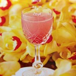 バー ジャダ - H26.4　いつも素敵なはがきです