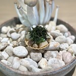 Le Du Restaurant and Wine Bar - ①キノコとバイマックルーのタルト