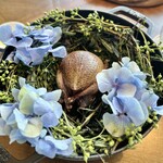 Côte by Mauro Colagreco - ハト