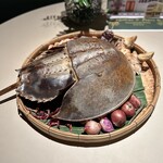 Nusara - カブトガニ