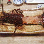 辰寿し - 伊勢海老刺身