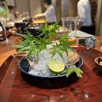 東山 吉寿 - 