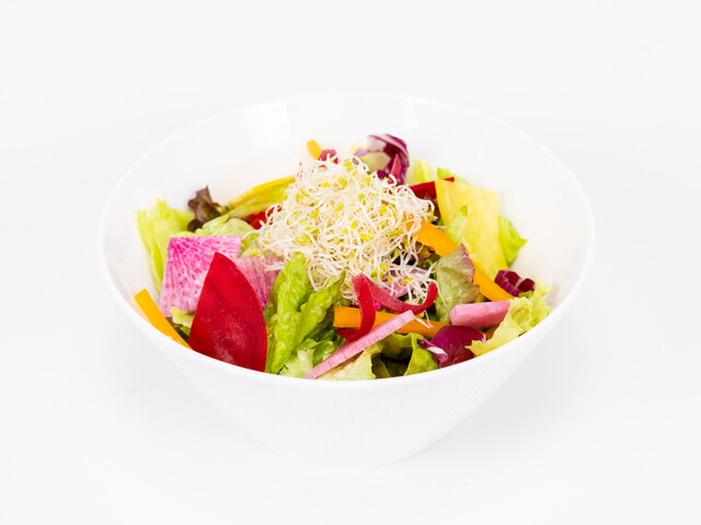 旬彩りサラダ