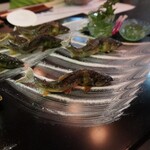 京・貴船ひろや - 