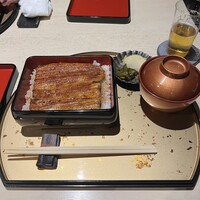 うなぎ 目白ぞろ芽 - 