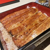 うなぎ 目白ぞろ芽 - 