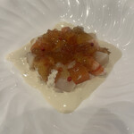 RAMAGES Nouvelle Vie - 