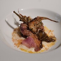 フォリオリーナ・デッラ・ポルタ・フォルトゥーナ - 